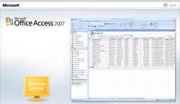 MS Access Development Software